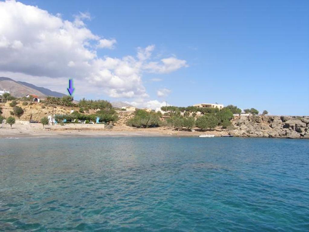 Apartament Zorbas