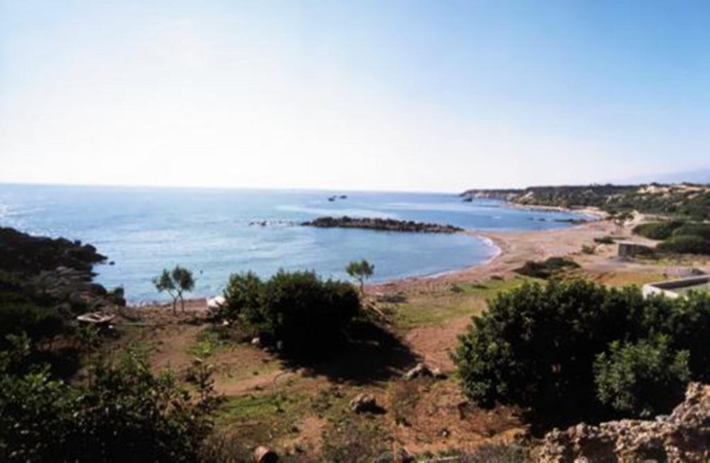 Zorbas Apartament